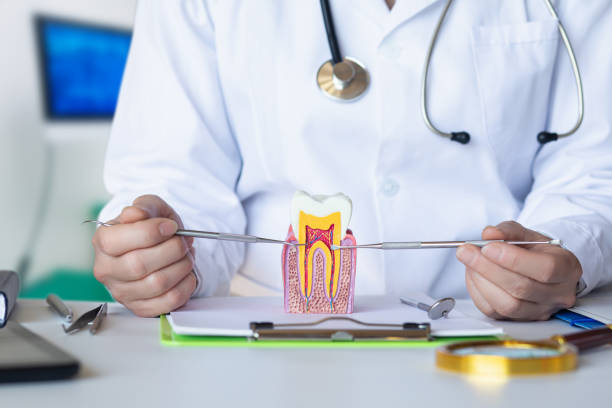 Best Weekend Emergency Dentist in Rosedale, MS